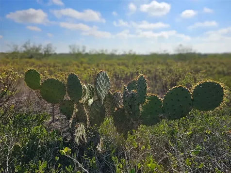 0 San Jose Ranch Road San Benito TX 78586