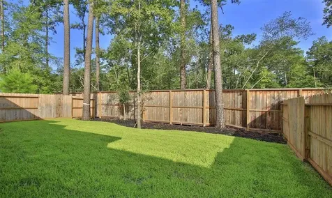 707 Lacebark Elm Trail Conroe TX 77318