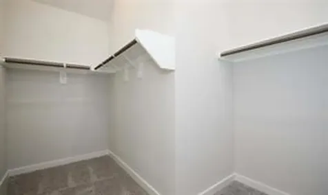 707 Lacebark Elm Trail Conroe TX 77318