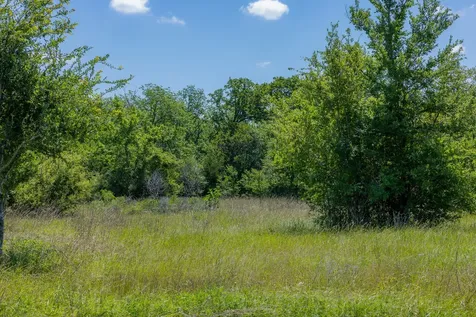 6534 Atakapan Trail Bedias TX 77831