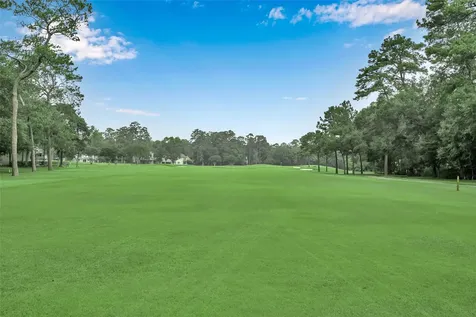 2 Alladdin Lane The Woodlands TX 77380