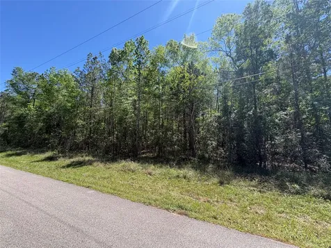 000 E Williford Kountze TX 77625