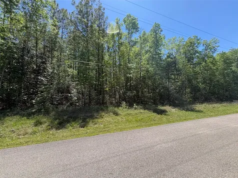 000 E Williford Kountze TX 77625