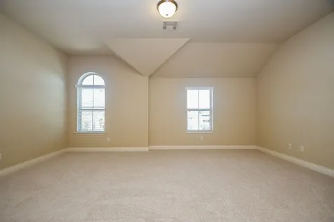 3923 Birch Vale Lane Sugar Land TX 77479