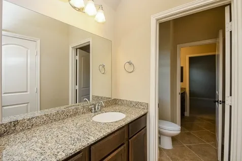 3923 Birch Vale Lane Sugar Land TX 77479