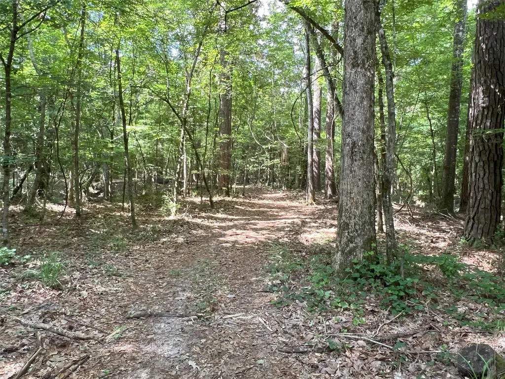 Tbd Upper Leggett Road Leggett TX 77350