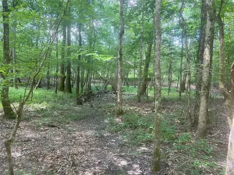 Tbd Upper Leggett Road Leggett TX 77350