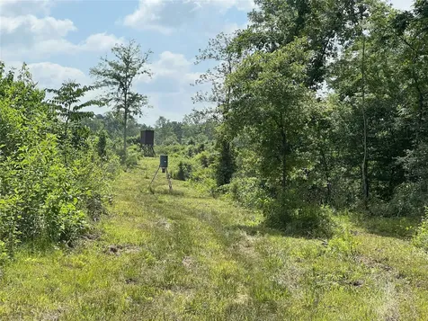 Tbd Upper Leggett Road Leggett TX 77350