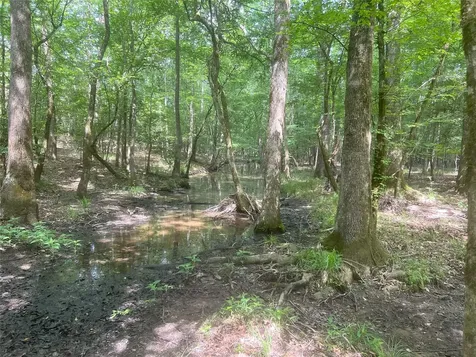 Tbd Upper Leggett Road Leggett TX 77350