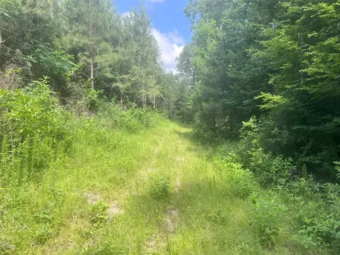 Tbd Upper Leggett Road Leggett TX 77350