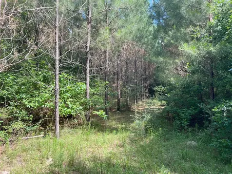 Tbd Upper Leggett Road Leggett TX 77350