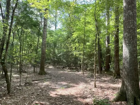 Tbd Upper Leggett Road Leggett TX 77350