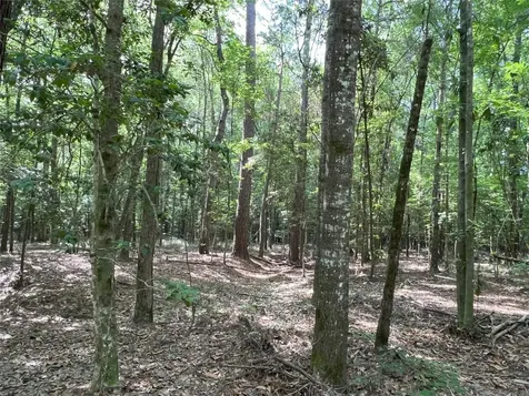 Tbd Upper Leggett Road Leggett TX 77350