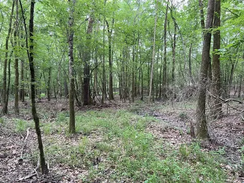 Tbd Upper Leggett Road Leggett TX 77350