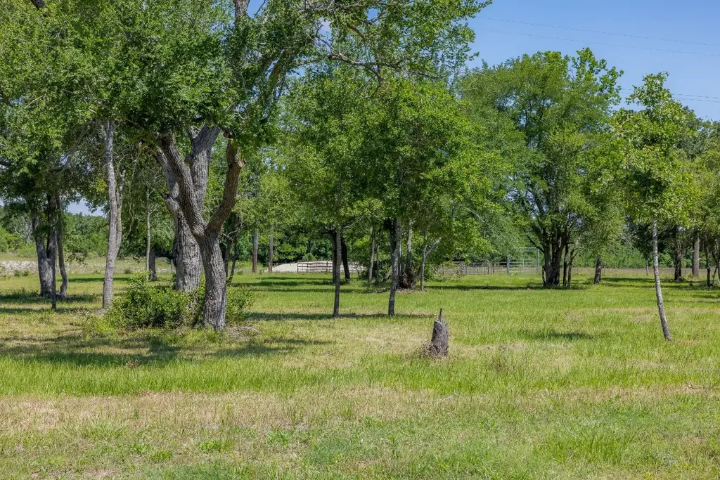 6681 Atakapan Trail Bedias TX 77831