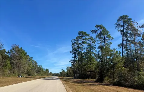 312 Iron Horse Road New Waverly TX 77358