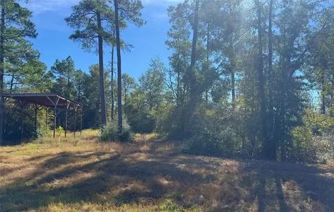 312 Iron Horse Road New Waverly TX 77358