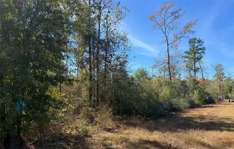 312 Iron Horse Road New Waverly TX 77358