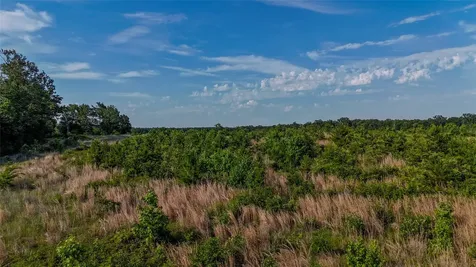 County Road 4621 Annona TX 75550