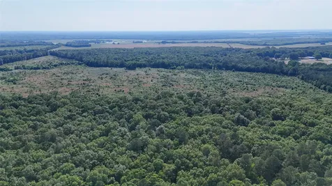County Road 4621 Annona TX 75550