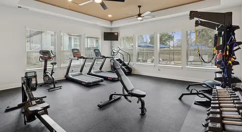 637 Canvas Avenue Fulshear TX 77441