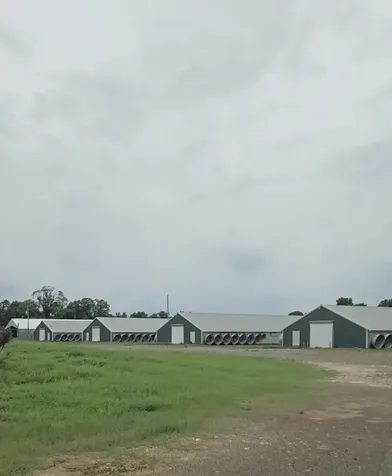 6140 & 6142 E Highway 84 Palestine TX 75801
