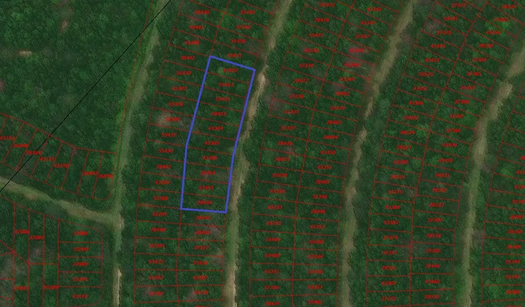 Tbd Wood Forest Livingston TX 77351
