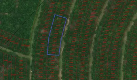 Tbd Wood Forest Livingston TX 77351