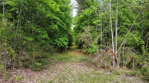1648 Timber Road 23 N Chester TX 75936