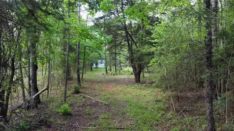 1648 Timber Road 23 N Chester TX 75936