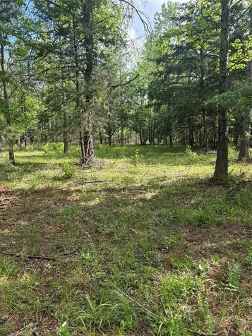 1648 Timber Road 23 N Chester TX 75936