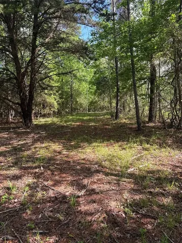 1648 Timber Road 23 N Chester TX 75936