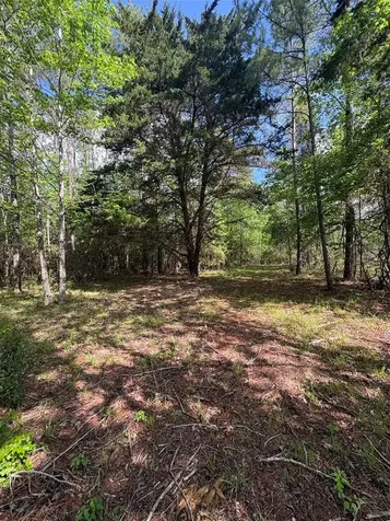 1648 Timber Road 23 N Chester TX 75936