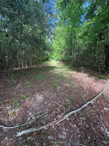 1648 Timber Road 23 N Chester TX 75936