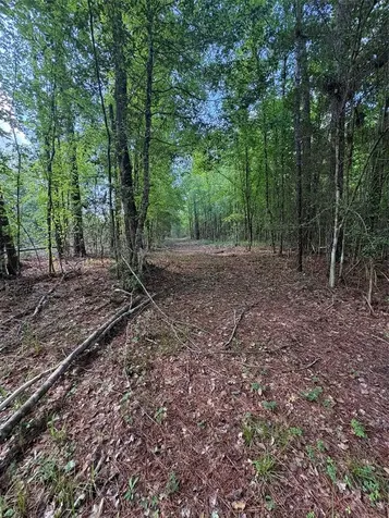 1648 Timber Road 23 N Chester TX 75936