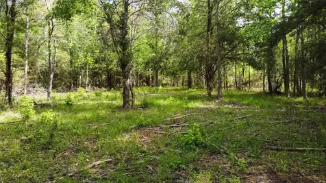 1648 Timber Road 23 N Chester TX 75936