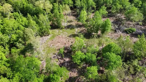 1648 Timber Road 23 N Chester TX 75936