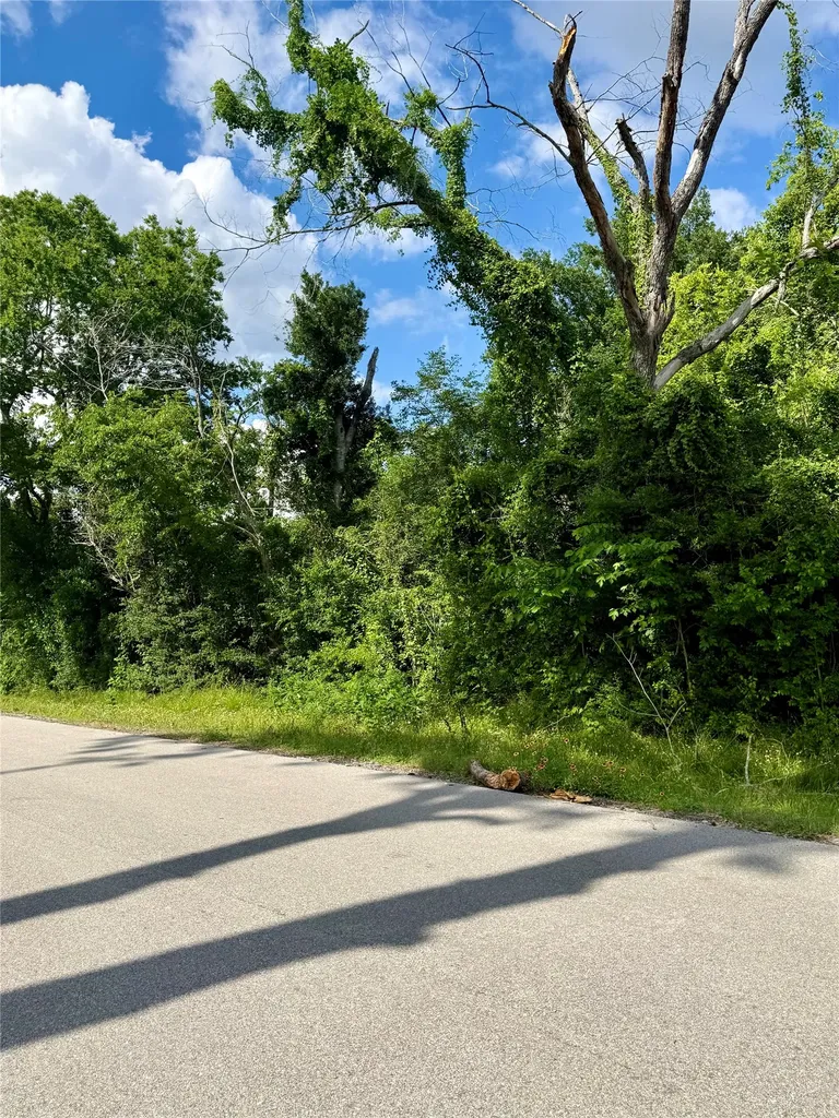 13650 Salt Grass Trail Lot 106 Cypress TX 77429