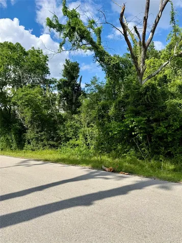 13650 Salt Grass Trail Lot 106 Cypress TX 77429