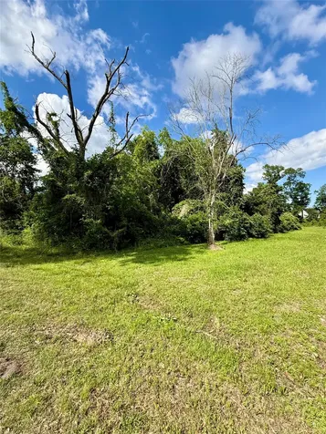 13650 Salt Grass Trail Lot 106 Cypress TX 77429
