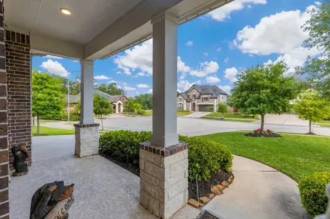 3919 Dorothy Oaks Court Spring TX 77386