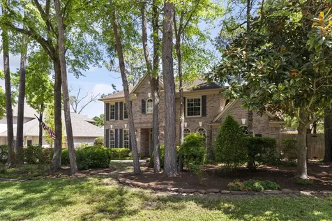 10 Scenic Mill Place The Woodlands TX 77382