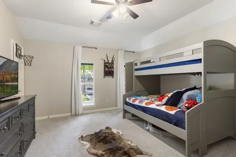 10 Scenic Mill Place The Woodlands TX 77382