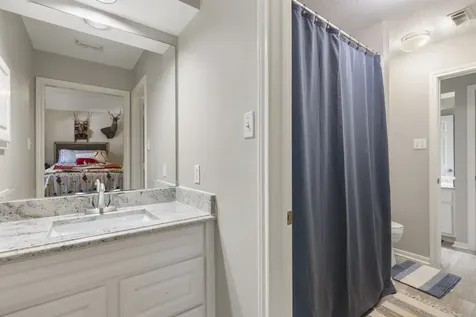 10 Scenic Mill Place The Woodlands TX 77382