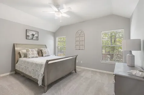 10 Scenic Mill Place The Woodlands TX 77382
