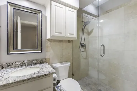 10 Scenic Mill Place The Woodlands TX 77382