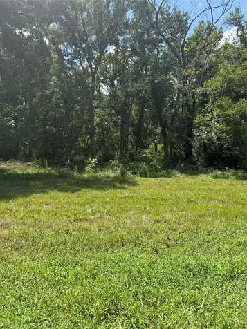 652 Pony Trail Angleton TX 77515