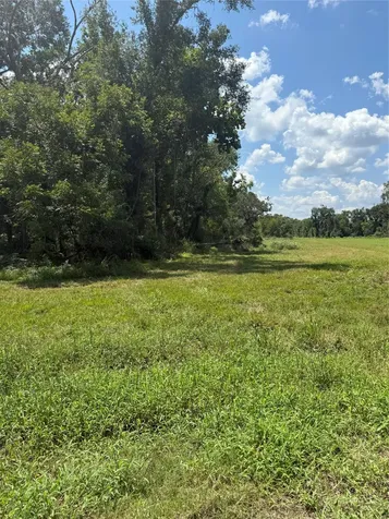652 Pony Trail Angleton TX 77515