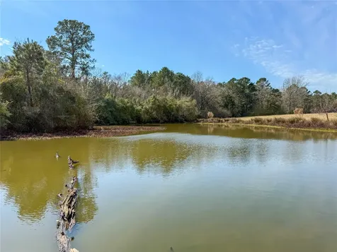 0004 County Road 2780 Woodville TX 75979
