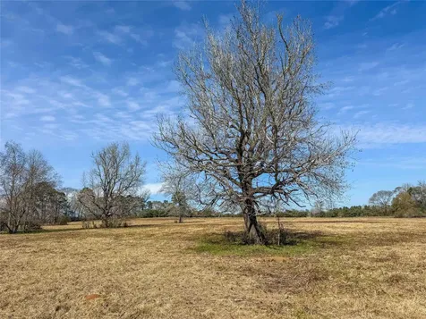 0004 County Road 2780 Woodville TX 75979